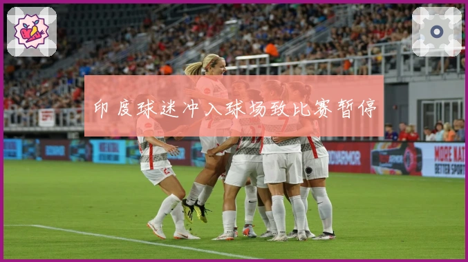 印度球迷冲入球场致比赛暂停