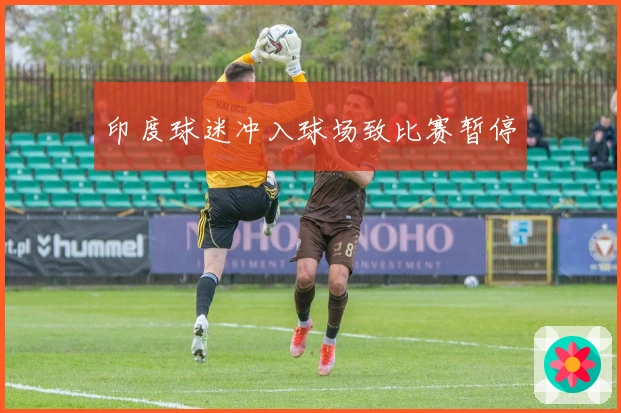 印度球迷冲入球场致比赛暂停