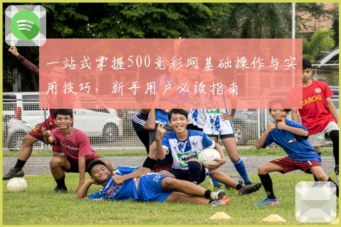 一站式掌握500竞彩网基础操作与实用技巧,新手用户必读指南